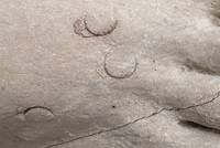 <div>Cosimo Filippini, <em>Rilievo (Ercole) #1,</em> 2025<br>Stampa digitale su forex<br>78 x 116 cm</div>