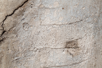 <div>Cosimo Filippini, <em>Rilievo (Ercole) #4,</em> 2025<br>Stampa digitale su forex<br>78 x 116 cm</div>