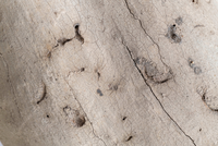 <div>Cosimo Filippini, <em>Rilievo (Ercole) #5,</em> 2025<br>Stampa digitale su forex<br>78 x 116 cm</div>